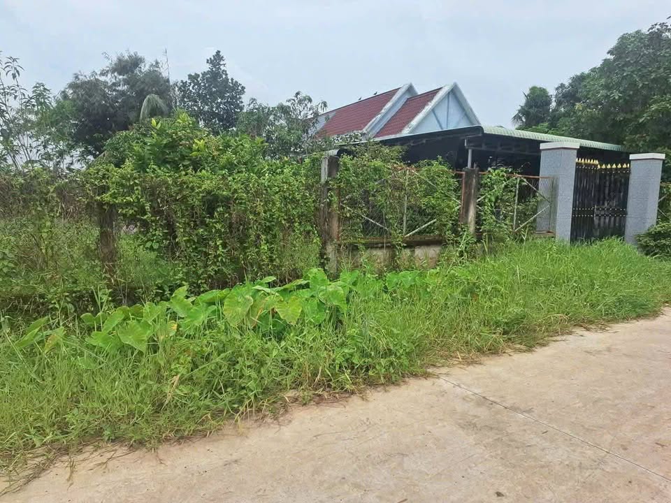 Đất nền Hòa Khánh Tây 150m² giá 700 triệu - Sổ hồng riêng, thổ cư, đầu tư sinh lời!