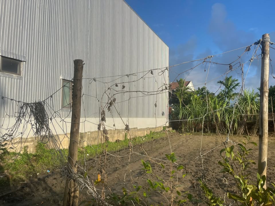 Lô đất đẹp tại Hùng Vương, Hội An 100m² giá 1.7 tỷ - Cơ hội đầu tư tuyệt vời!