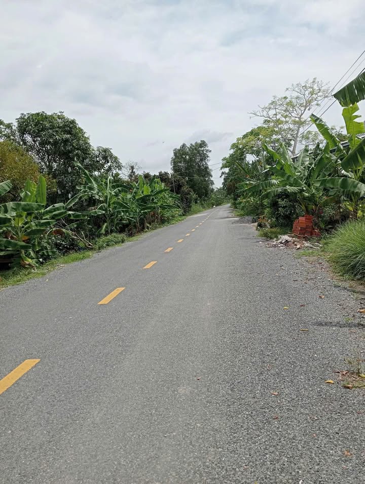 Đất mặt tiền tỉnh lộ 864, xã Mỹ Lương, 14 công - Cơ hội đầu tư tuyệt vời!