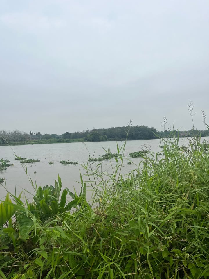 Đất trồng cây Phú Hòa Đông 3700m² giá 4.1 tỷ - Đường xe hơi tới nơi!