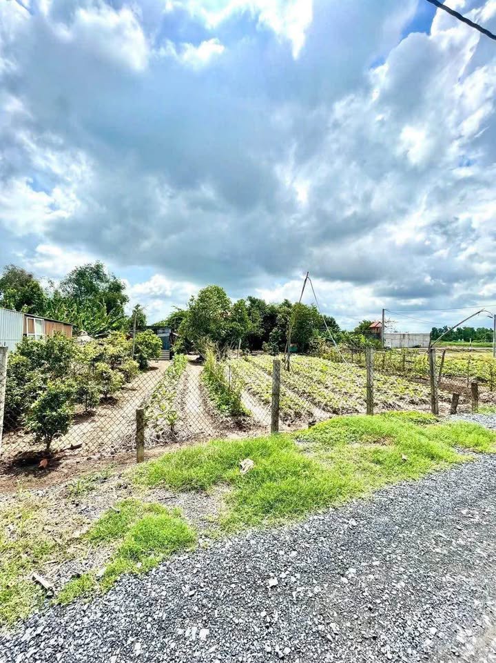 Đất thổ cư 150m² tại ấp Kế Mỹ, xã Mỹ Lộc giá 950 triệu - Cơ hội đầu tư hấp dẫn!