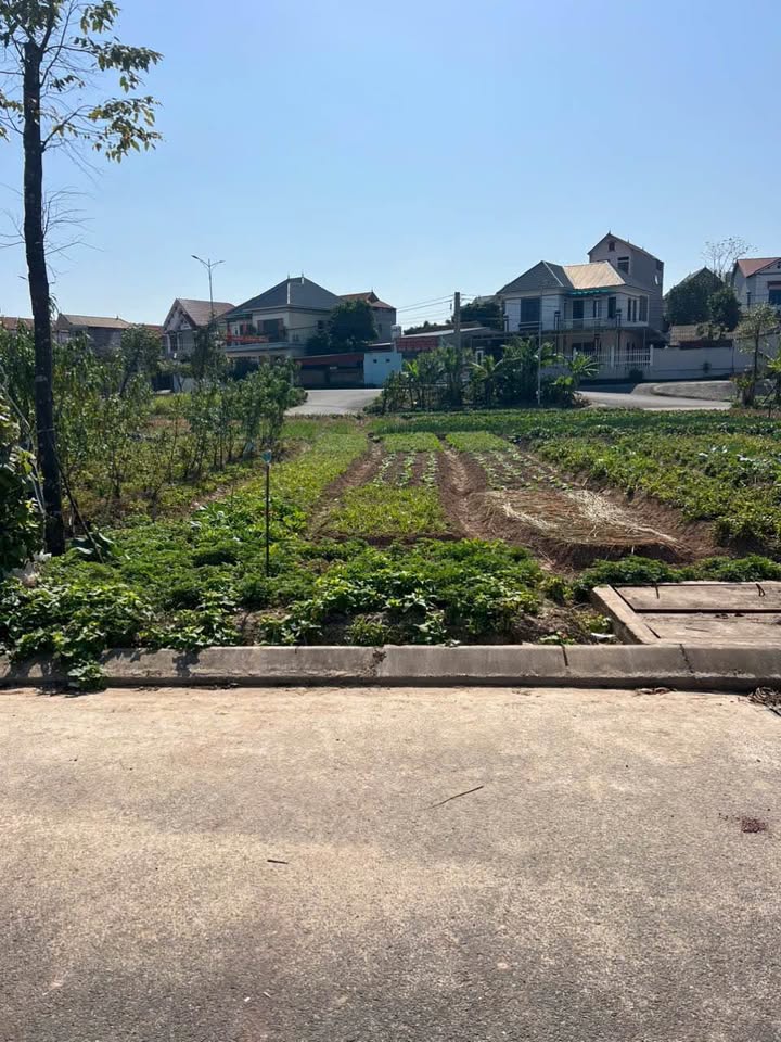 Đất nền Dĩnh Trì Bắc Giang 75m² giá 2.4 tỷ - Đầu tư sinh lời ngay!