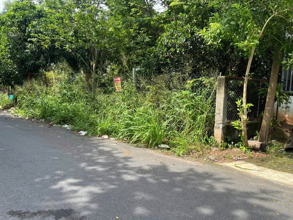 Đất nền Phú An Bến Cát 546m² giá 3.35 tỷ - Đầu tư sinh lời ngay!