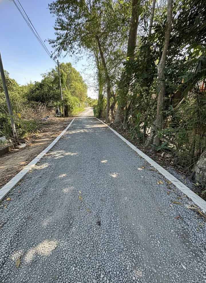 Đất thổ cư 156m² Trung Lập, Củ Chi chỉ 1.25 tỷ - Sổ hồng chính chủ!