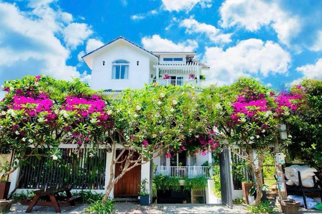 Biệt thự biển Nguyễn Hữu Thông, Sơn Trà - 300m² giá 40 tỷ - Đầu tư sinh lời ổn định!