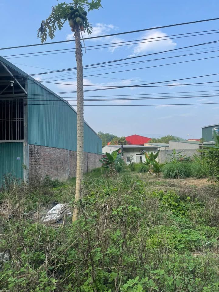 Đất thổ cư Bản Phiệt, Bảo Thắng 120m² giá 1.22 tỷ - Vị trí đẹp mở cửa hàng!