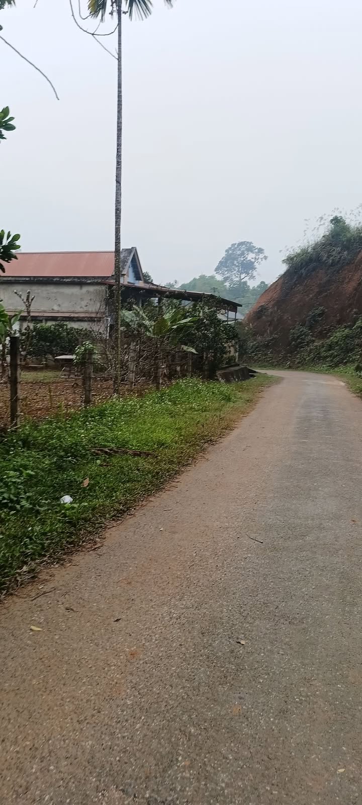 Đất thổ cư tại đường Vũ Văn Mật, Yên Bình 100m² - Cơ hội đầu tư hấp dẫn!