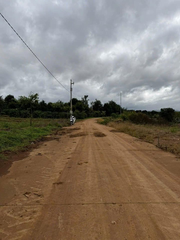 Đất nền Hiệp Thạnh Đức Trọng 258m² giá 1.1 tỷ - Sổ hồng chính chủ, xây dựng tự do!