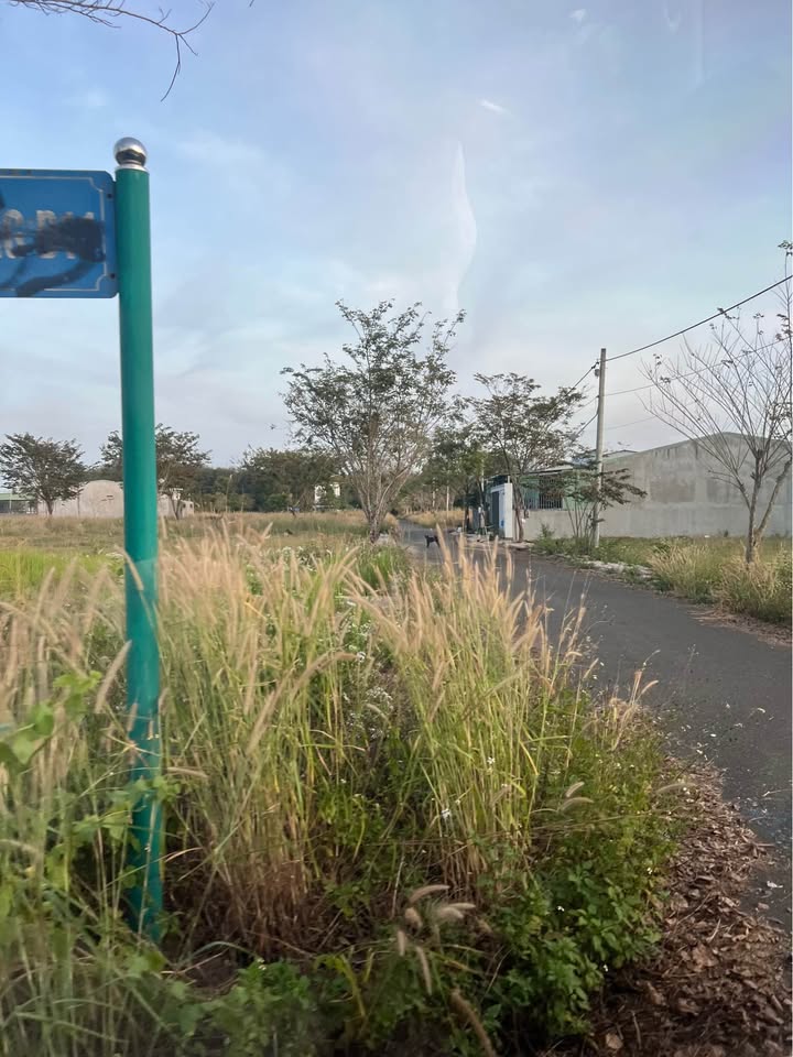 Đất nền Tân Phước, Đồng Phú 132m² giá chỉ 435 triệu - Đầu tư sinh lời ngay!