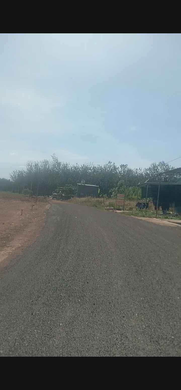 Đất nền Tân Phước, Đồng Xoài 10.000m² giá 3 tỷ - Tiềm năng đầu tư lớn!