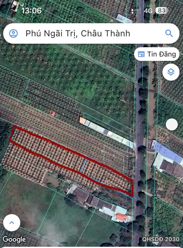 Đất lúa mặt tiền Nguyễn Thông, Phú Ngãi Trị 1.700m² - Đầu tư sinh lời cao!