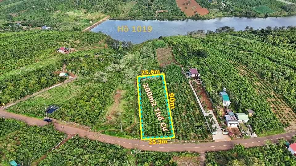 Lô đất đường chính Nguyễn Trung Trực, Di Linh 2097m² - Đầu tư tiềm năng với giá thỏa thuận!