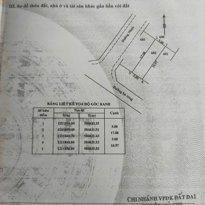 Đất nền mặt tiền đường Số 7 Tân Thông Hội 85m² - Giá tốt, cơ hội đầu tư!
