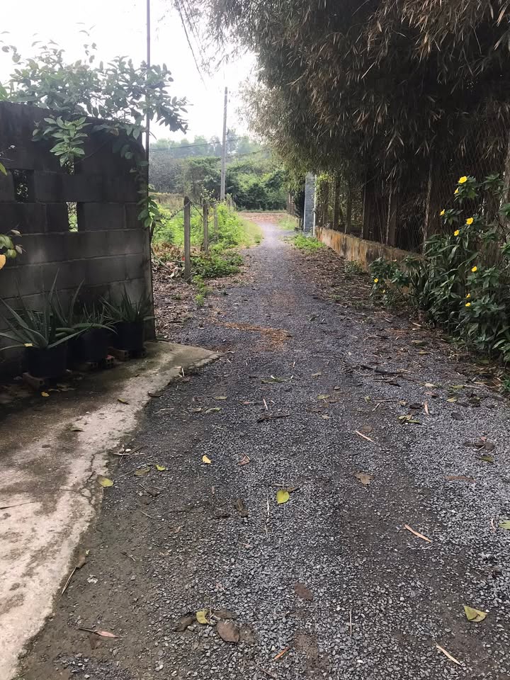 Nhà vườn Củ Chi 1280m² giá 3.8 tỷ - Đầu tư sinh lời không thể bỏ qua!