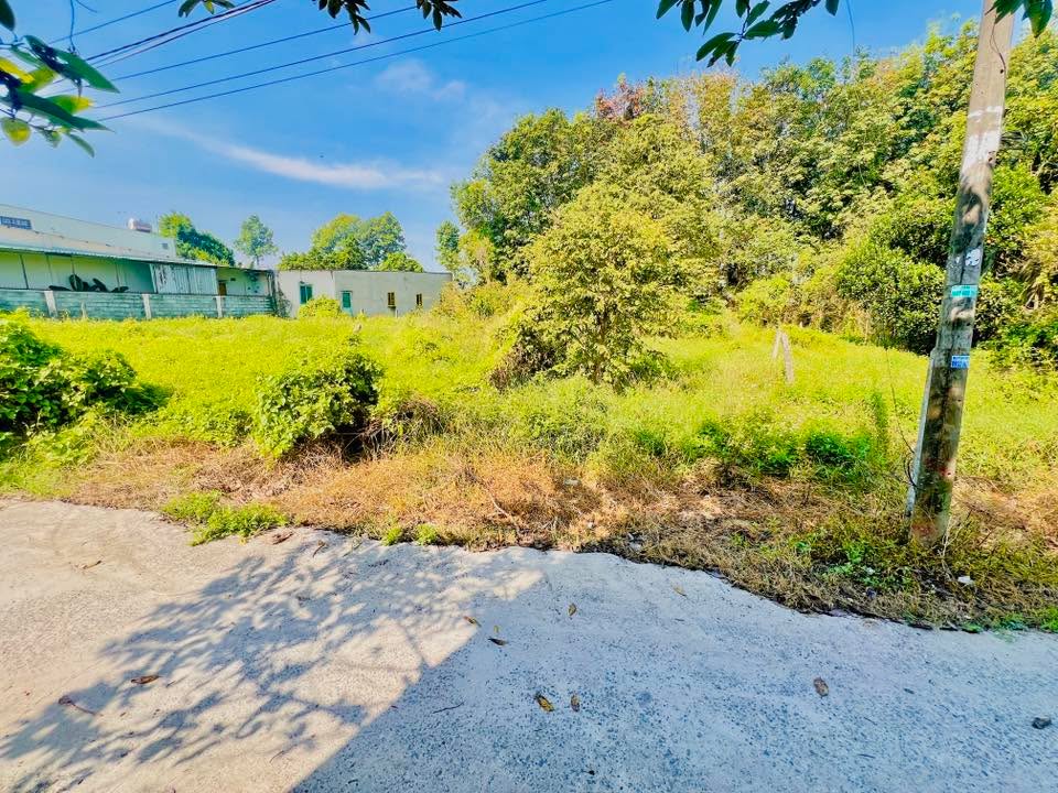 Đất thổ cư xã Tân Thạnh Đông 105m² giá chỉ 1.65 tỷ - Sổ đỏ chính chủ, thương lượng nhanh!