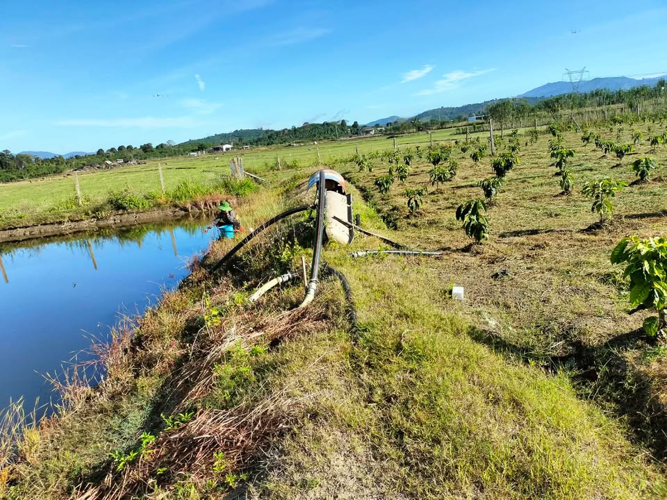 Đất nền xã Krông Nô 20.000m² giá 1.1 tỷ - Sổ đỏ chính chủ, cơ hội đầu tư tuyệt vời!