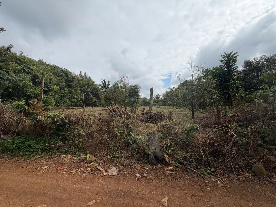 Đất thổ cư 800m² Đoàn Khuê, Buôn Hồ, Đắk Lắk giá 4 tỷ - Cơ hội đầu tư tuyệt vời!