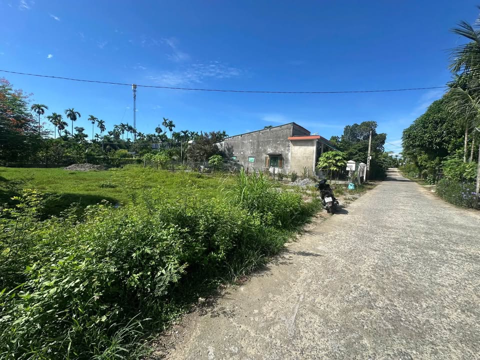 Đất nền Hẻm 180 Hoàng Hoa Thám 125m² giá 650 triệu - Cơ hội đầu tư hấp dẫn!