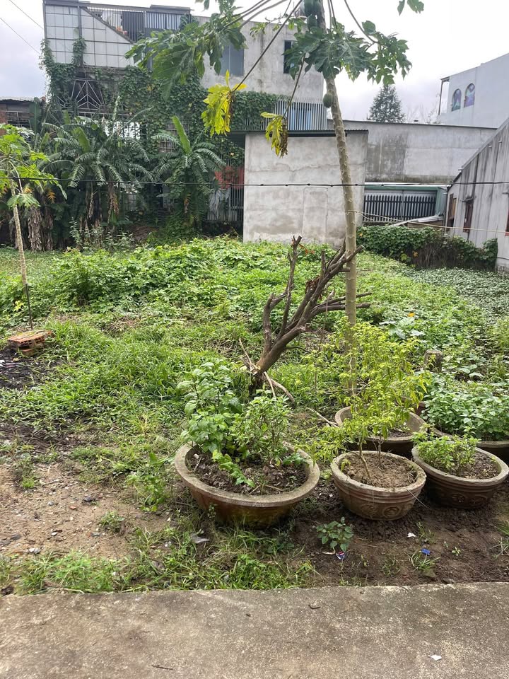 Nhà phố Quảng Ngãi 120m² giá 1.5 tỷ - Vị trí thuận lợi gần Trương Quang Cận