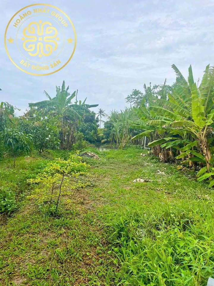 Đất nền Lý Văn Lâm Cà Mau 540m² giá 1 tỷ - View kênh thoáng mát, đầu tư sinh lời!