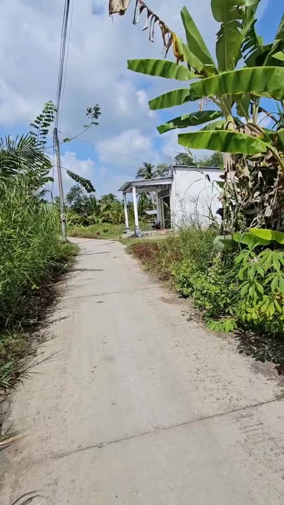 Đất nền Lý Văn Lâm 3.800m² giá 2 tỷ - Đầu tư sinh lời ngay!