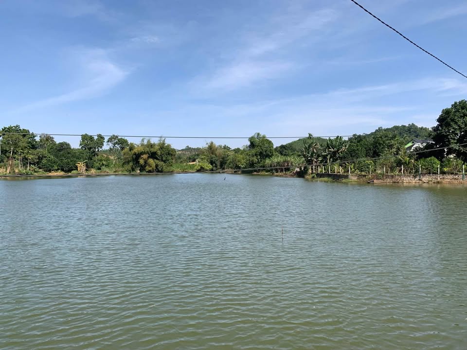 Đất nền Cao Dương, Lương Sơn 2200m² giá 6.6 tỷ - Mặt tiền bám hồ tuyệt đẹp!