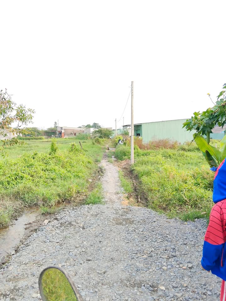 Đất nền 55m² tại Tân Thạnh Đông, Củ Chi chỉ 270 triệu - Cơ hội đầu tư hấp dẫn!