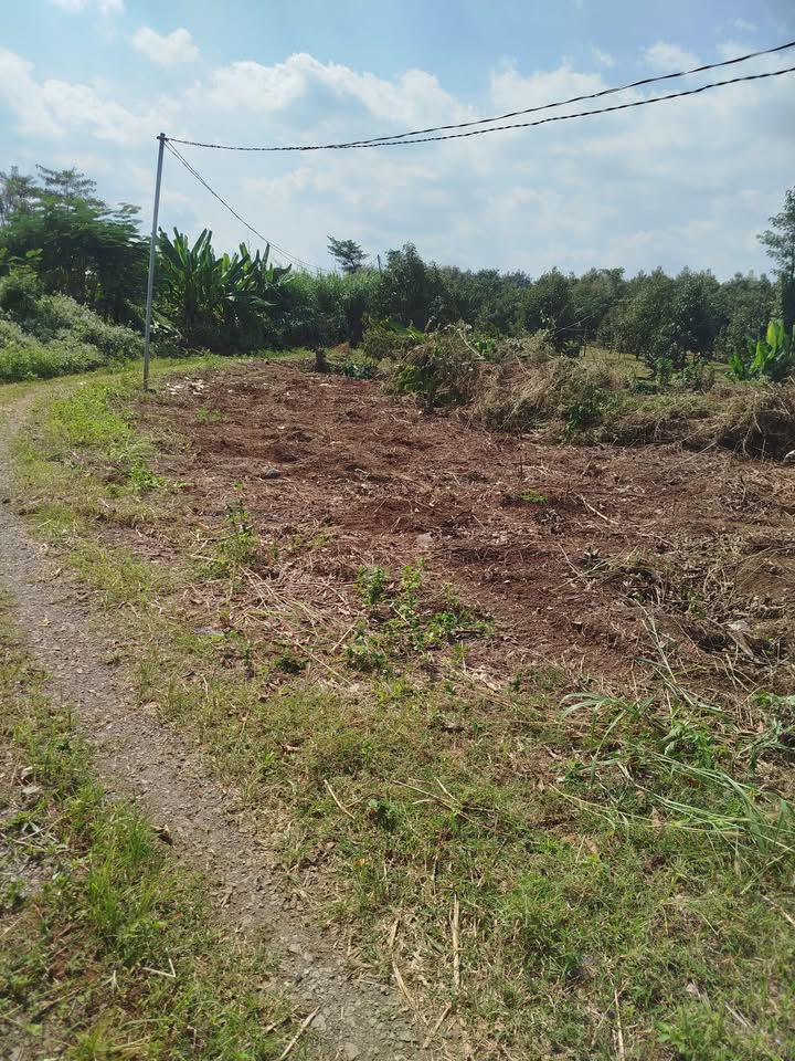 Đất nền Cẩm Mỹ Đồng Nai 3047m² giá 1.35 tỷ - Cơ hội đầu tư vàng!