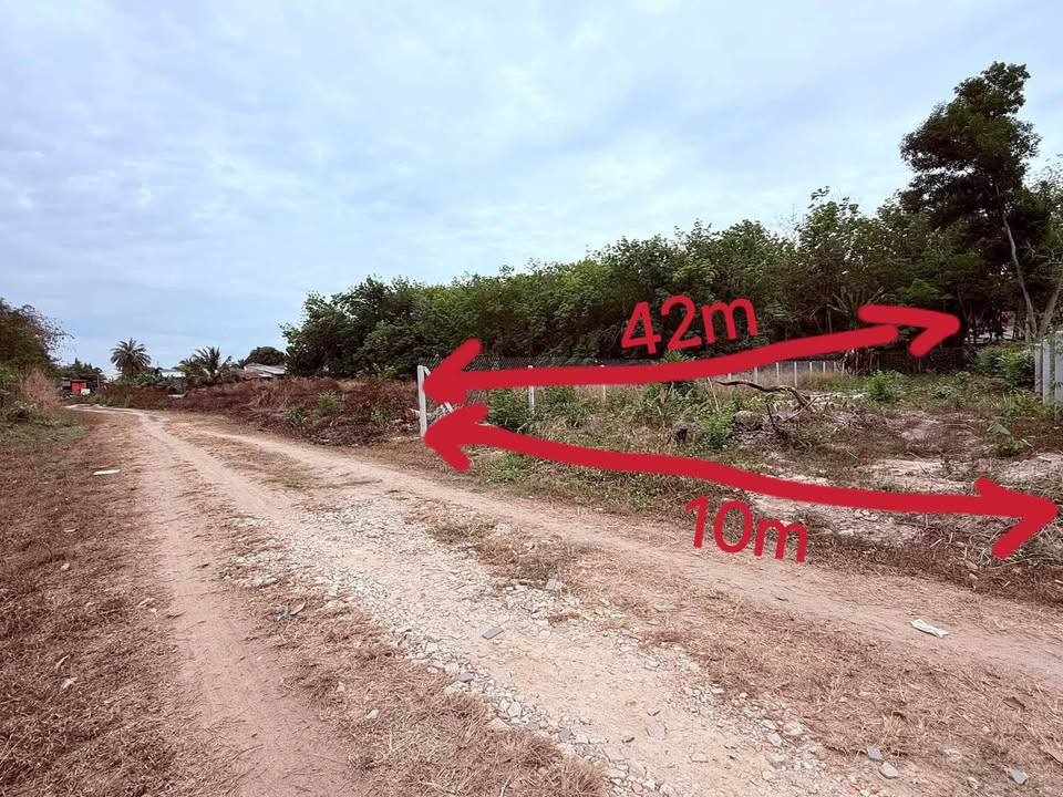 Bán đất phường Long Hoa, Tây Ninh 420m² giá 4.2 tỷ - Đầu tư sinh lời ngay!