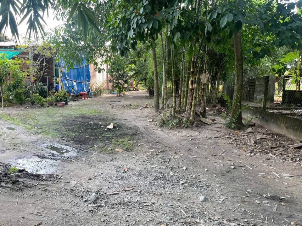 Đất thổ cư An Hòa Trảng Bàng 260m² giá 550 triệu - Khu dân cư đông đúc, đầu tư sinh lời!
