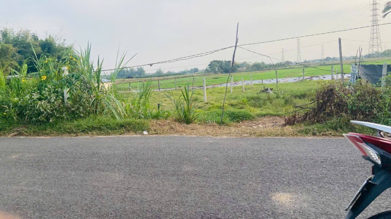 Đất nền 2900m² tại xã Tân Mỹ, Long An - Sổ đỏ chính chủ, giá 2.4 tỷ!