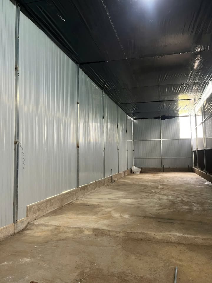 Cho thuê kho mặt bằng đường Võ Trường Toản, Đà Lạt 180m² - Giao thông thuận lợi!