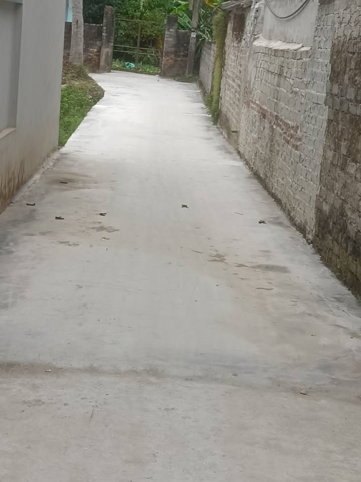 Đất nền Nguyên Giáp Tứ Kỳ 340m² giá chỉ từ 100 triệu - Đầu tư sinh lời hiệu quả!