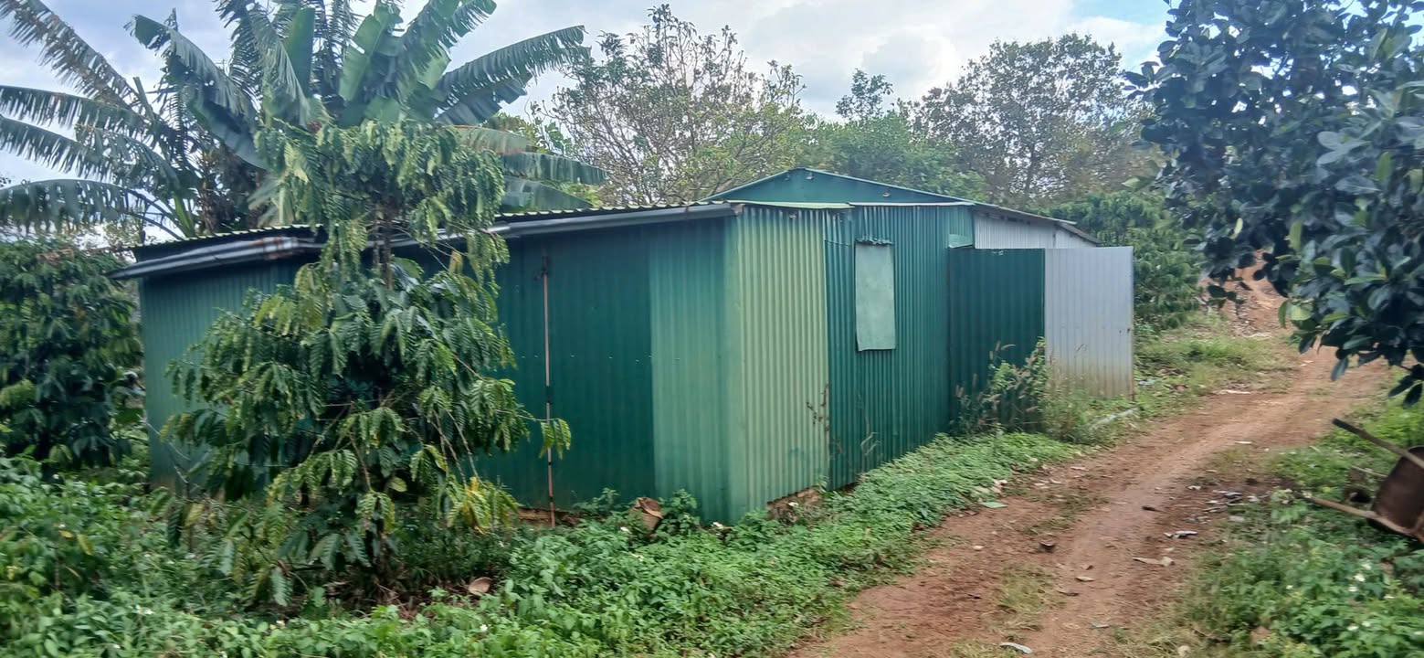 Đất nền 8000m² tại Quảng Tín, Đắk R'Lấp - Đầu tư sinh lợi ngay!