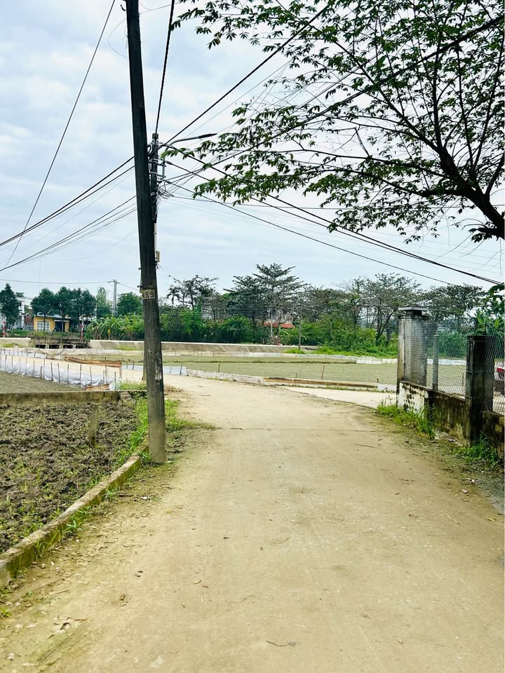 Đất nền Hòa Tiến Đà Nẵng 125m² giá 1.4 tỷ - Sát chợ Lệ Trạch, đầu tư lý tưởng!