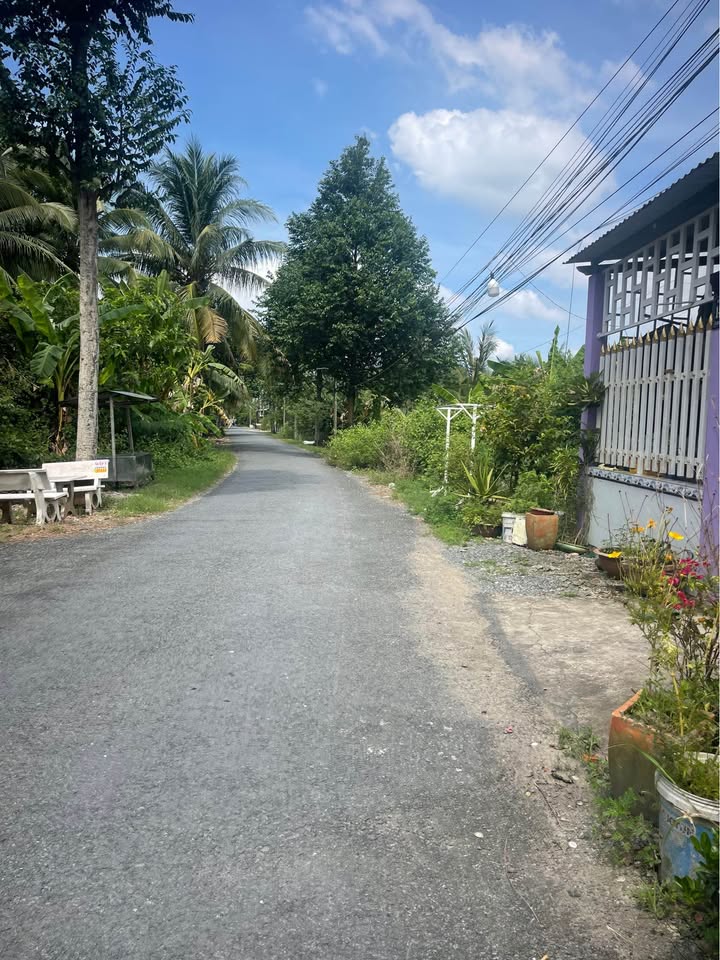 Đất vườn 2402m² mặt tiền đường DH25C, xã Long Phước, Vĩnh Long - Pháp lý rõ ràng, giá tốt!