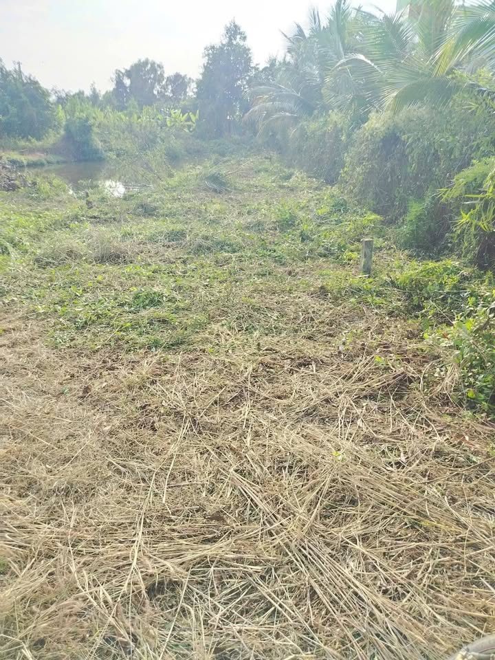 Đất vườn 266m² tại xã Tân Ân, Cần Đước, Long An - Giá 395 triệu, cơ hội đầu tư tuyệt vời!