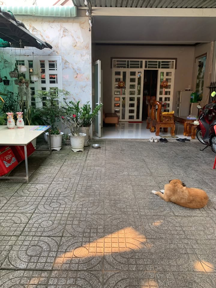 Nhà bán đường số 7, xã Suối Nghệ, 300m² giá 4.2 tỷ - Vị trí đắc địa, tiện ích đầy đủ!