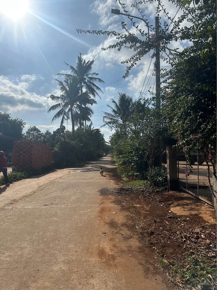 Đất nền mặt tiền N7 - Ea Tu 100m² giá 1.39 tỷ - Cơ hội đầu tư sinh lời!