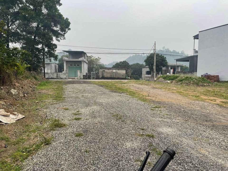 Đất Đồi Cao, Yên Bình, Tam Điệp 155m² giá 1.4 tỷ - Cơ hội đầu tư tuyệt vời!