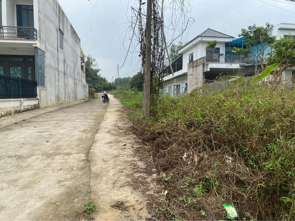 Đất nền Trung Môn Yên Sơn 184m² giá 1 tỷ - Sổ đỏ chính chủ sẵn sàng giao dịch!