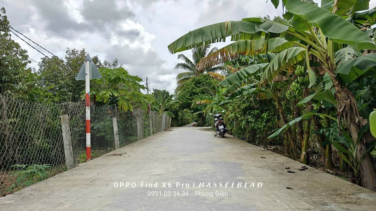 Đất nền Nhơn Nghĩa, Phong Điền, Cần Thơ 134m² giá 780 triệu - Sổ hồng công chứng ngay!