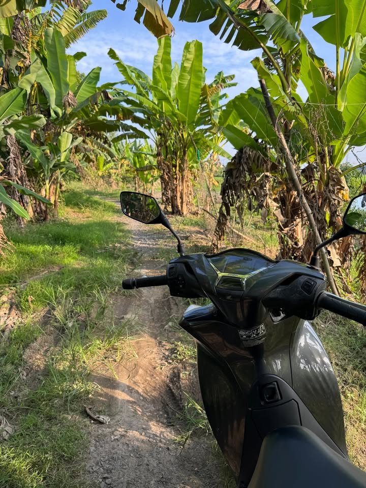 Đất nền 1335m² tại Thới An Đông, Cần Thơ - Giá chỉ 1.35 tỷ!