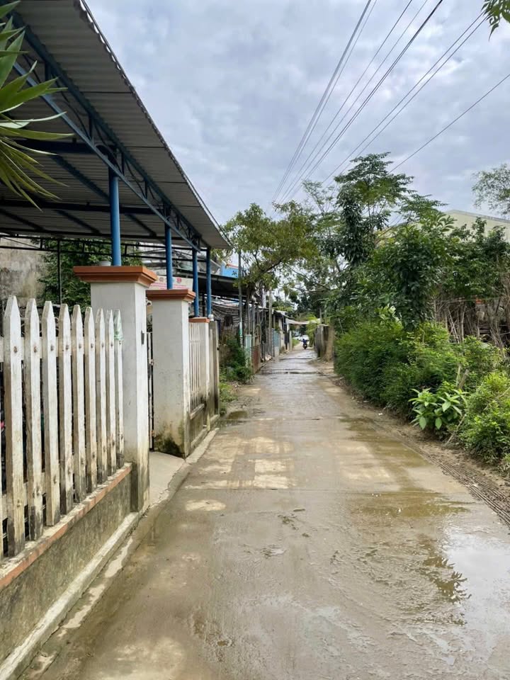 Nhà cấp 4 cho thuê tại phường Thanh Hà, Hội An - Giá cả phải chăng, phù hợp cho gia đình và sinh viên!