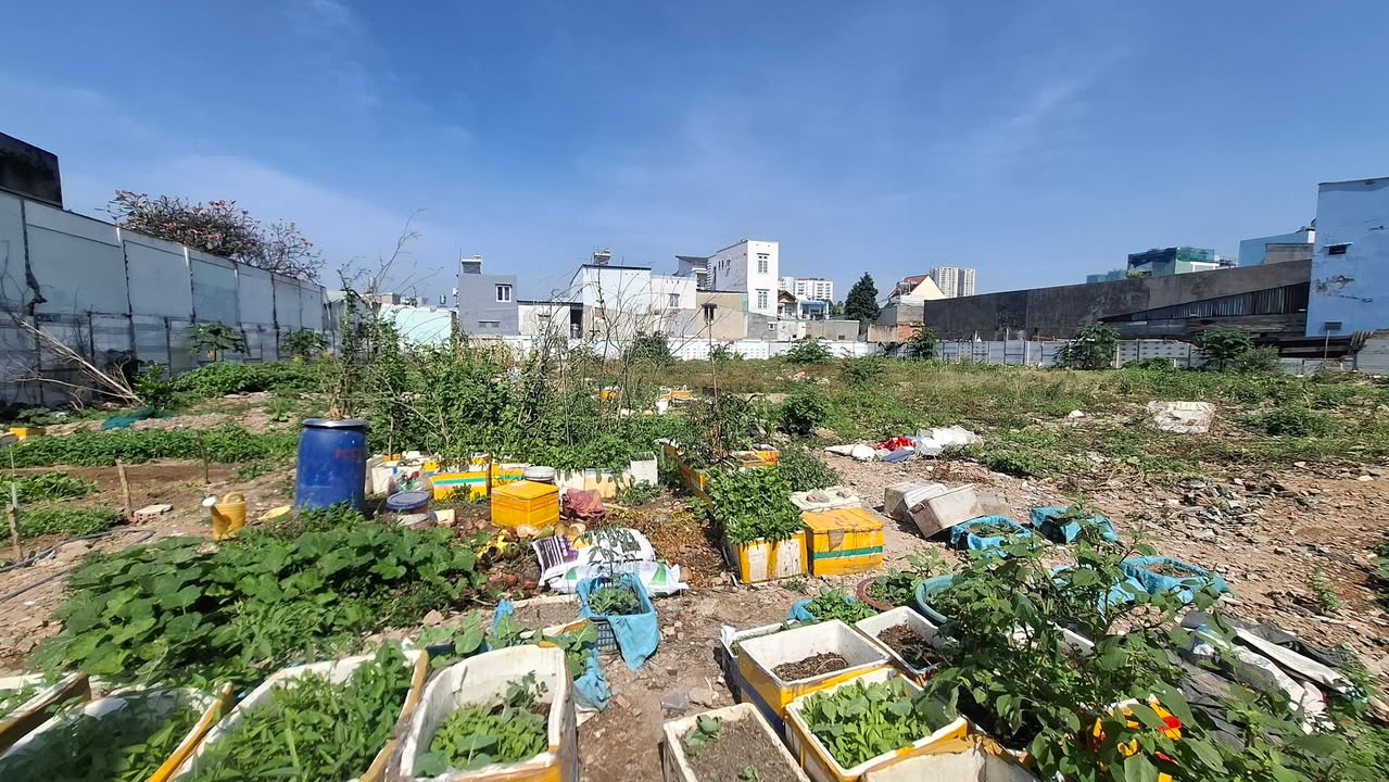 Đất nền Thủ Đức 1.078m² giá 46.4 tỷ - Đầu tư sinh lời cao!