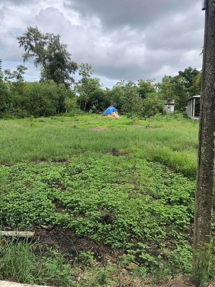 Đất nền Phú Vang 140m² giá 450 triệu - Khu vực yên tĩnh, dân cư đông đúc!