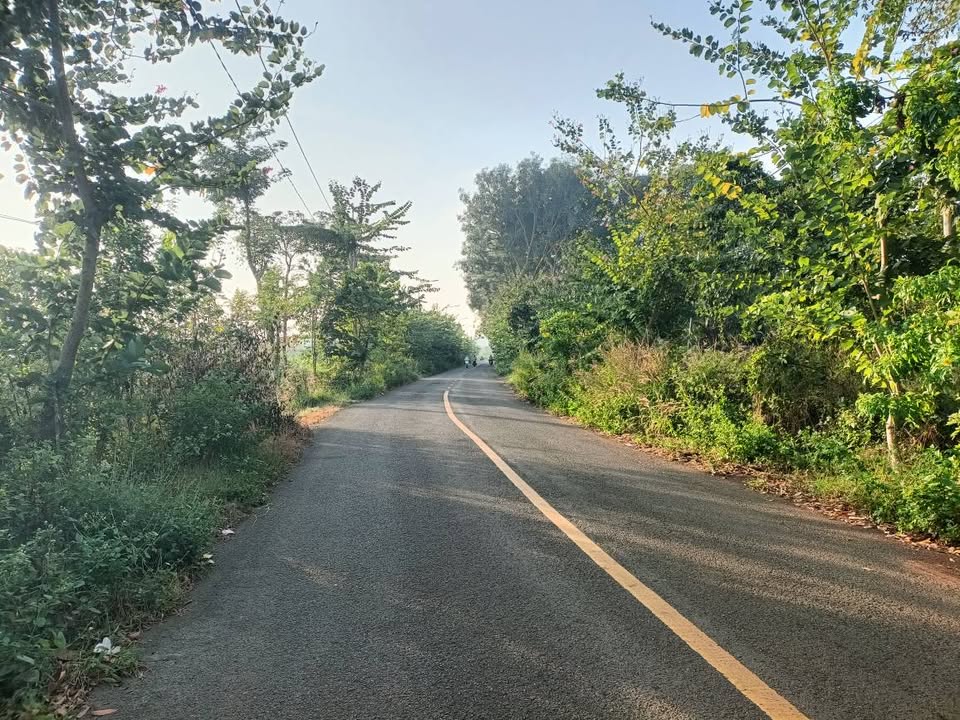 Đất nền Cẩm Mỹ 1691m² giá 2 tỷ - Đầu tư sinh lời tốt!