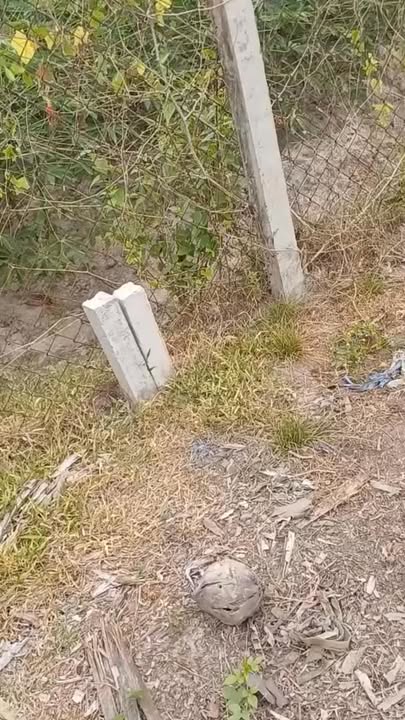 Đất nền xã Phước Đông Gò Dầu 310m² giá 450 triệu - Sổ đỏ chính chủ!