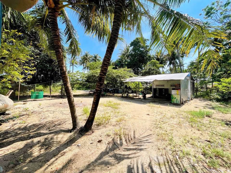 Đất nền thổ cư Ngọc Hiệp 1106.8m² giá 6.64 tỷ - Cơ hội đầu tư lý tưởng!