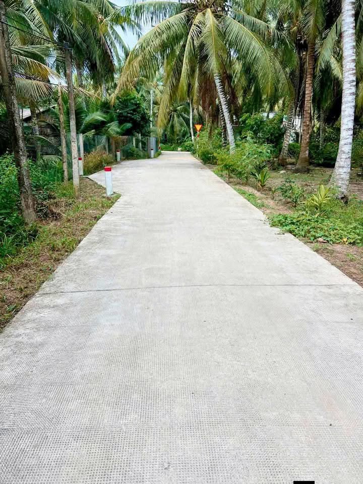 Đất vườn Tân Hưng, Ba Tri 3100m² giá chỉ 1.333 tỷ - Cơ hội đầu tư tuyệt vời!